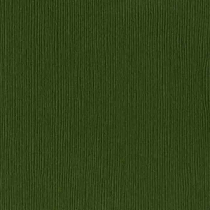 Cardstock 12in x 12in, Rain Forest