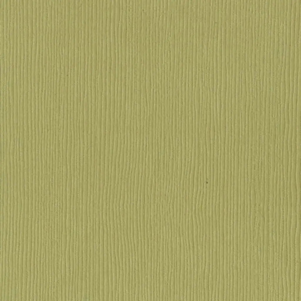 Cardstock 12in x 12in, Witch Hazel