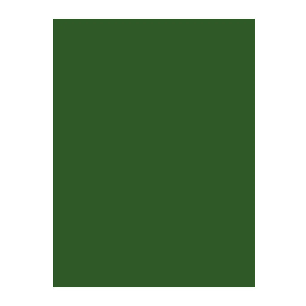 Foam Sheet 2mm 50x70cm Leaf Green