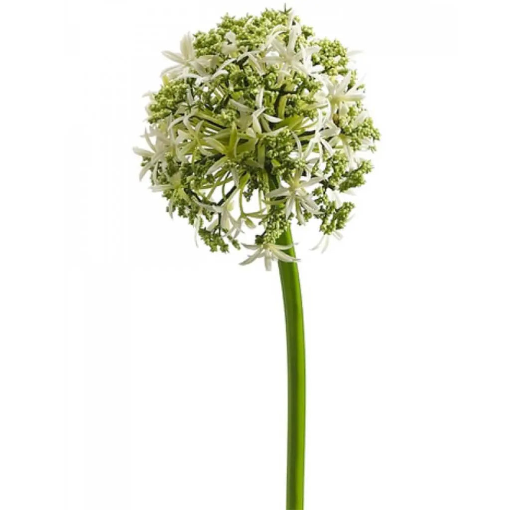 Allium Spray 31in