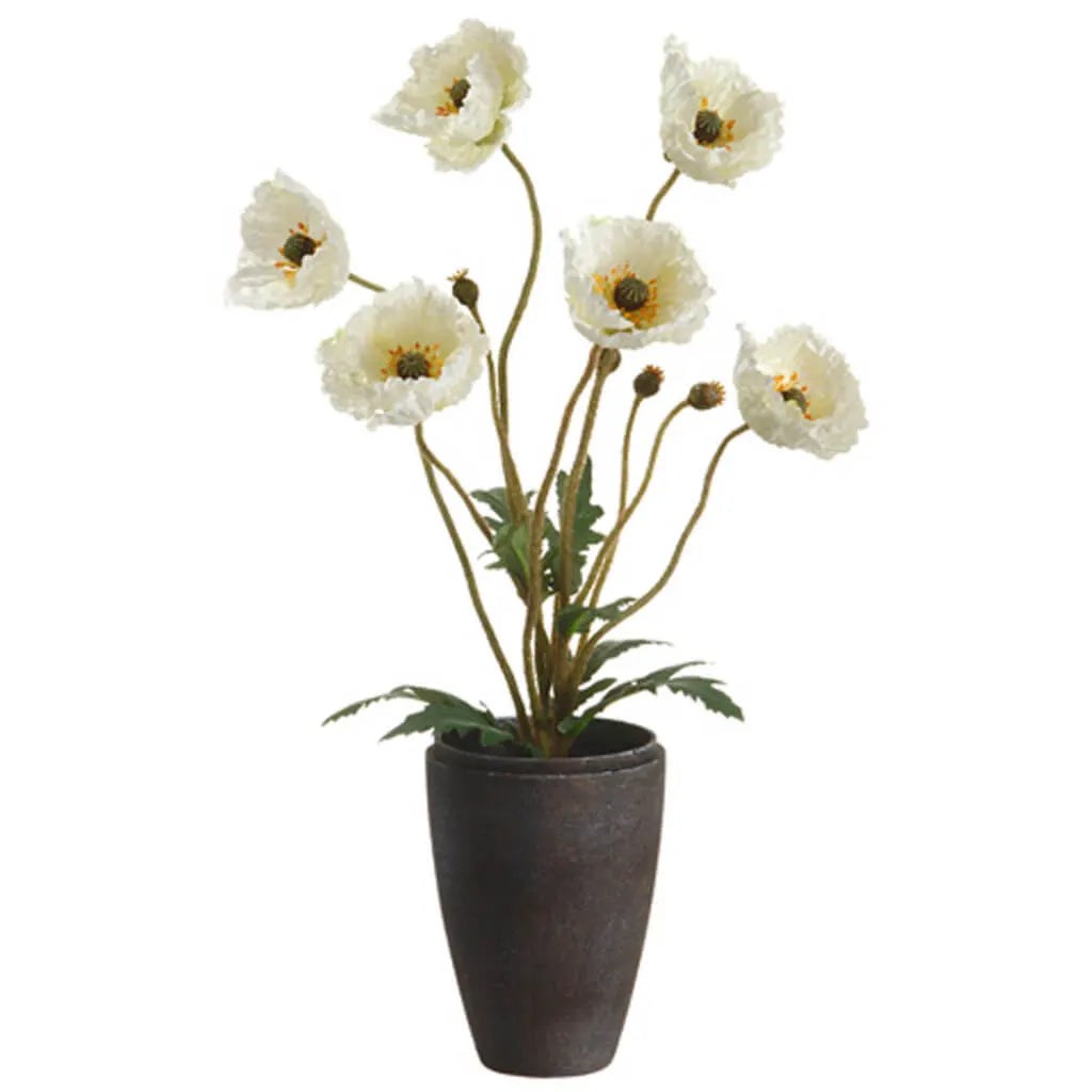 Poppy in Paper Mache Pot, 18in, Cream