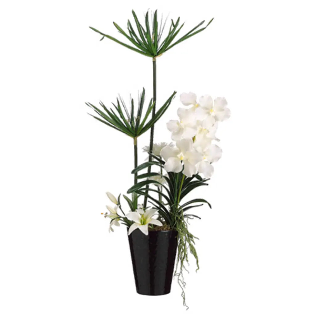 Cypress / Vanda 36in H x 17in W x 18in L, White