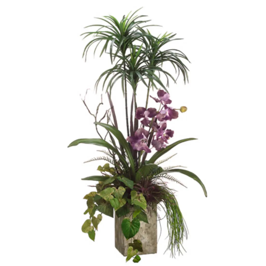 Orchid / Bromeliad 48in H x 24in W x 24in L