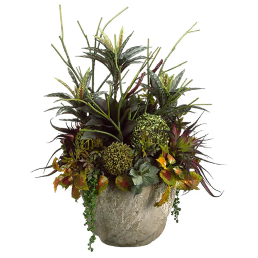 Succulent / Dracaena 31in H x 23in W