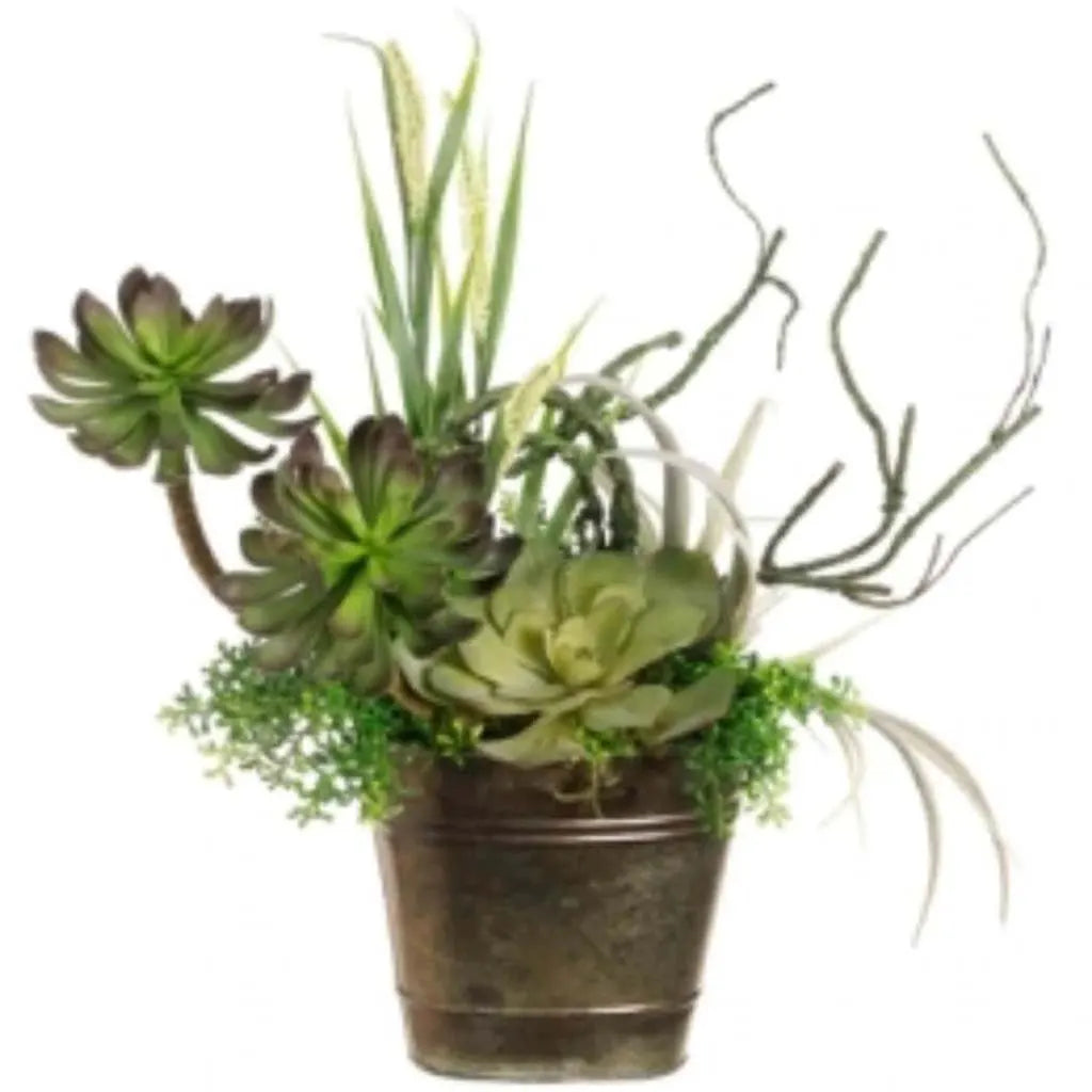 Succulent in Container 19in H x 13in W x 20in L