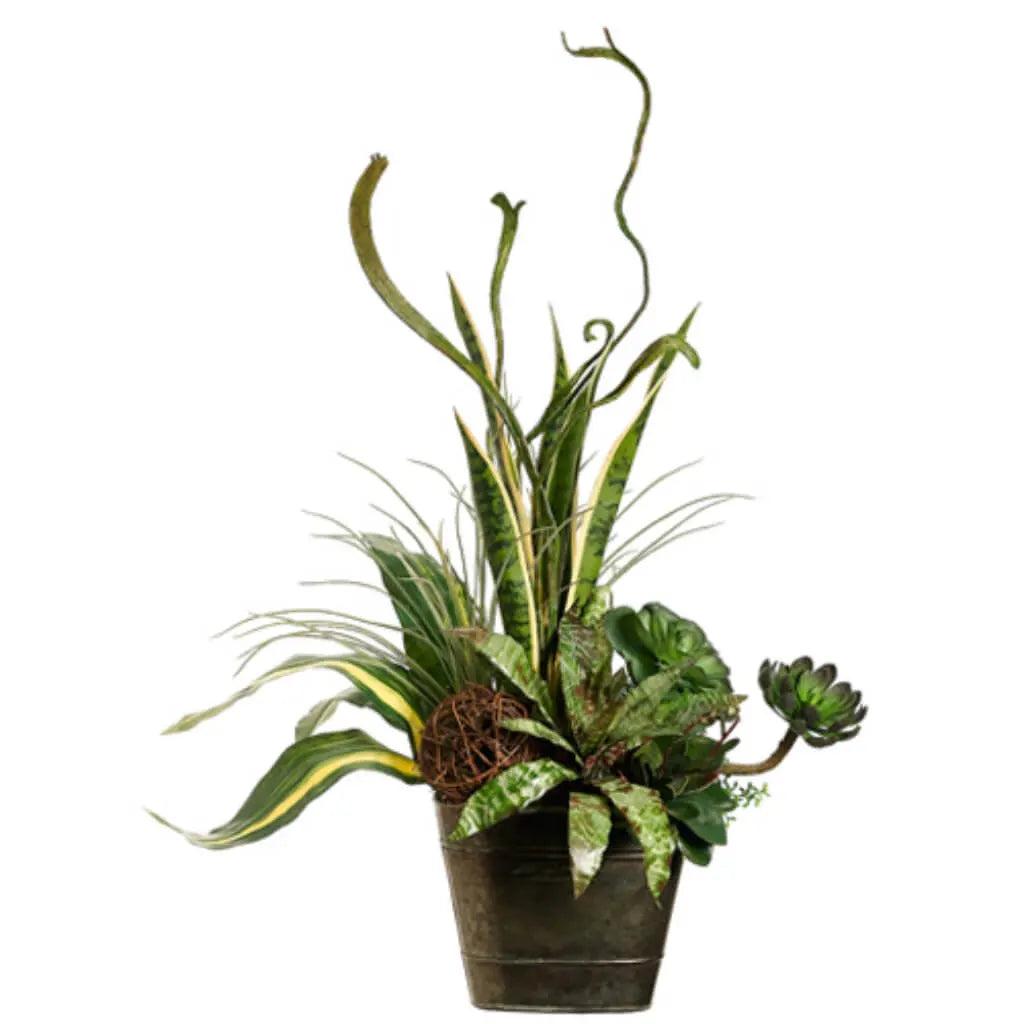 Succulent in Container 34in H x 17in W x 25in L