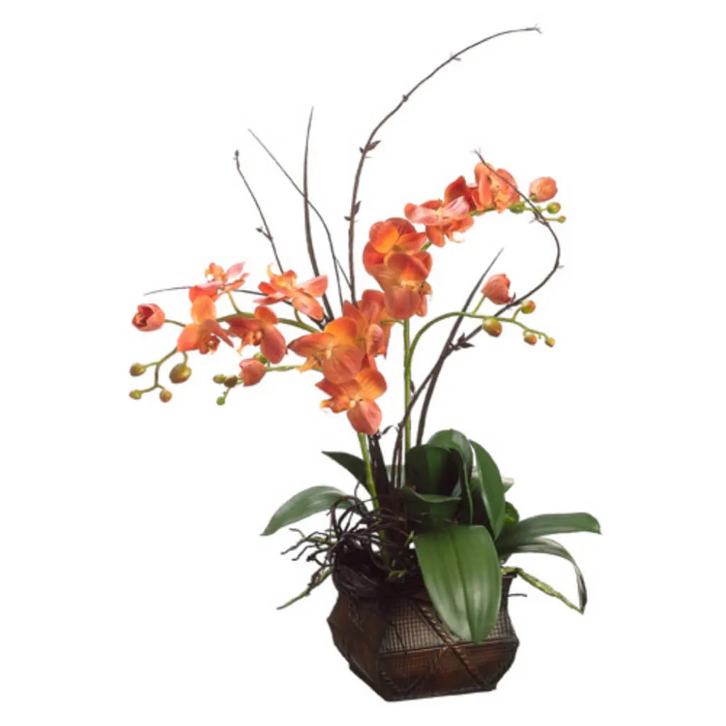 Phalanopsis Orchid / Twig in a Pot 33in H x 17in W x 21in L, Orange