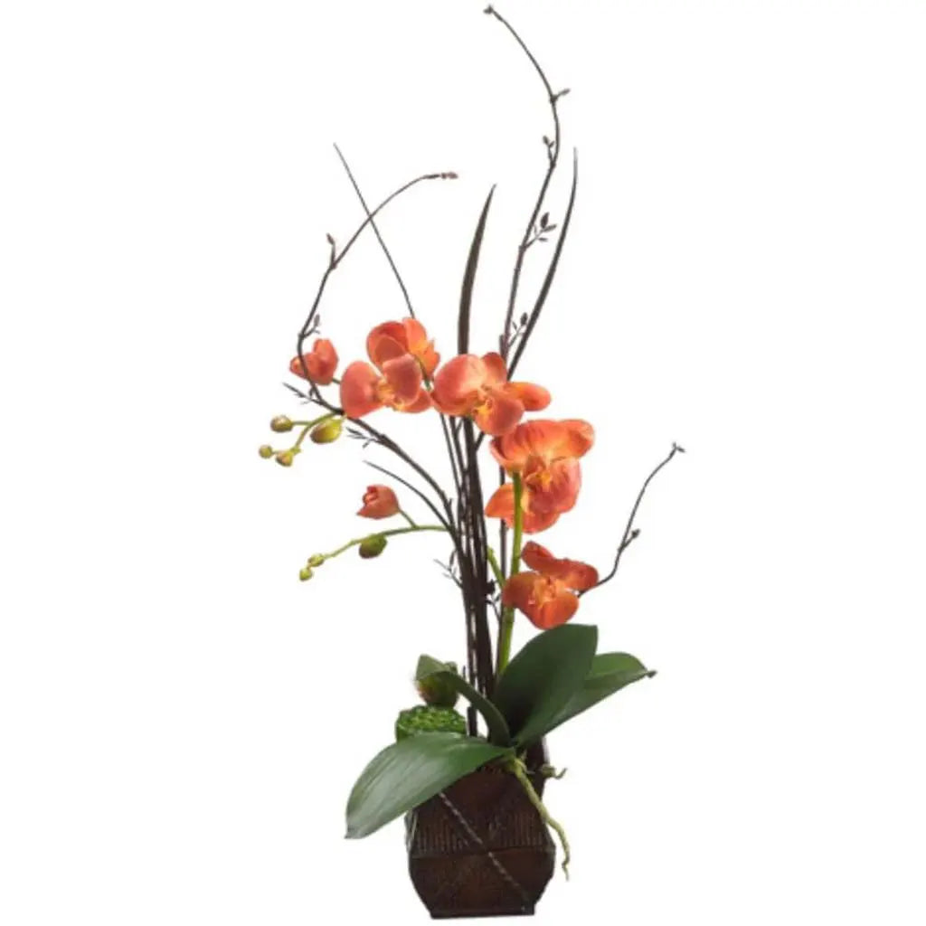 Phalanopsis Orchid / Twig in a Pot 30in H x 13in W x 15in L, Orange