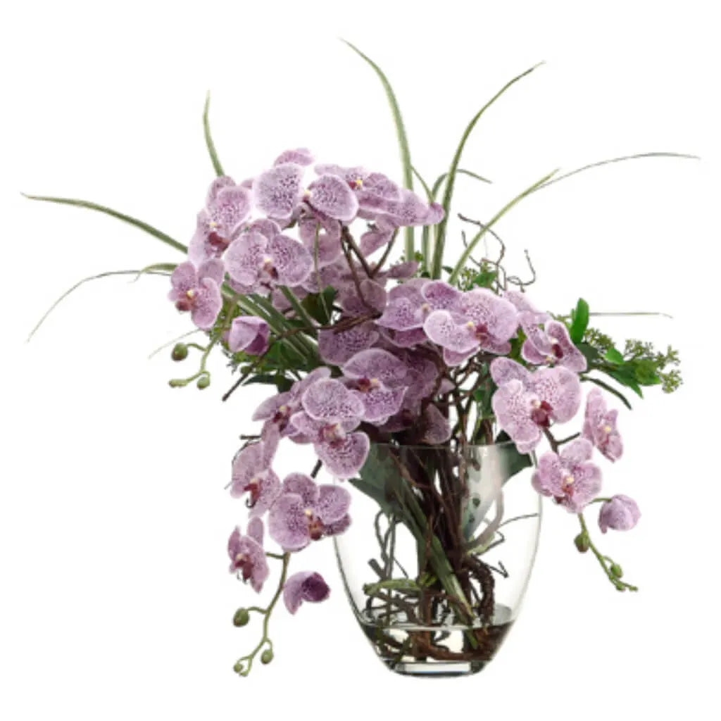 Phalaenopsis Orchids in Glass Vase 25in H x 24in W x 24in L, Violet