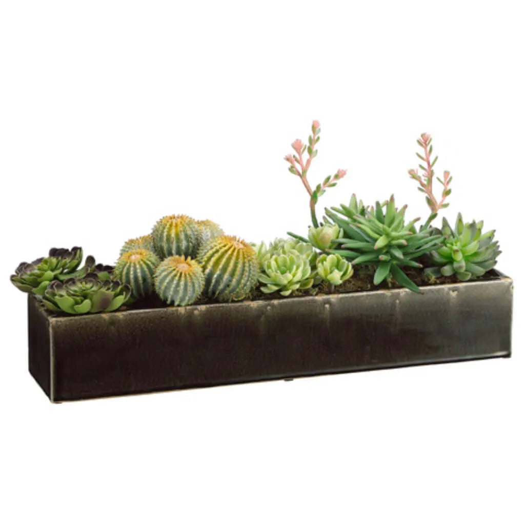 Succulents in a Pot 11in H x 8in W x 24in L