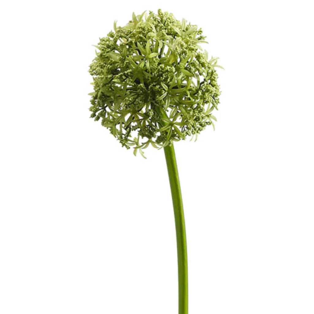 Allium Spray 31in