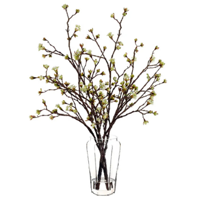 Budding Blossom in a Glass Vase, 30in H x 30in W  x 30in L, Cream