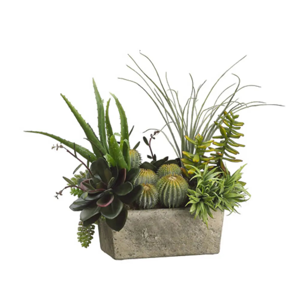 Succulents 18in H x 12in W x 18in L, Green Two Tone