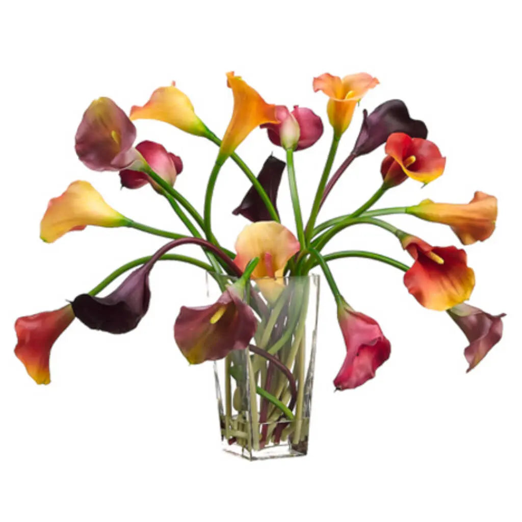 Multicolor Calla Lily in Glass Vase 21in H x 23in W x 24in L, Orange, Purple