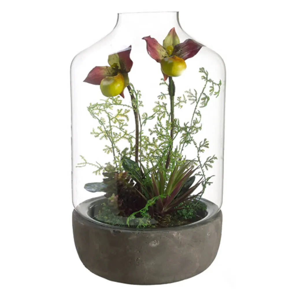 Lady's Slipper in a Terrarium 17in H x 10in W x 10in L