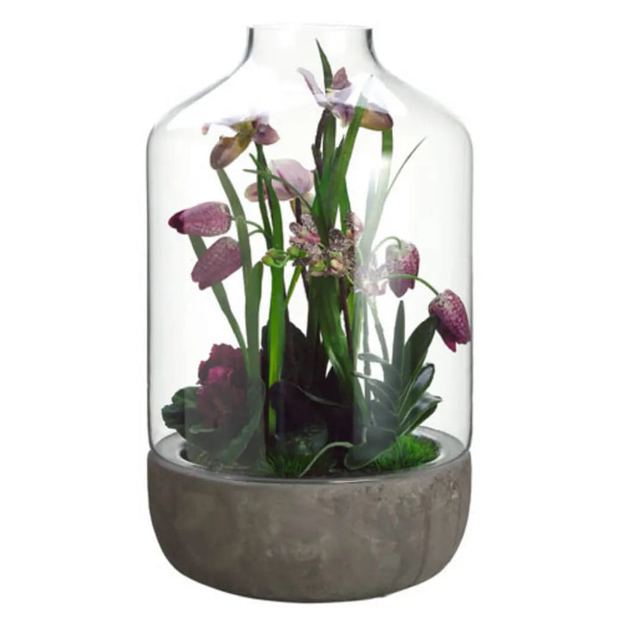 Orchid in a Terrarium 17in H x 10in W x 10in L, African Violet