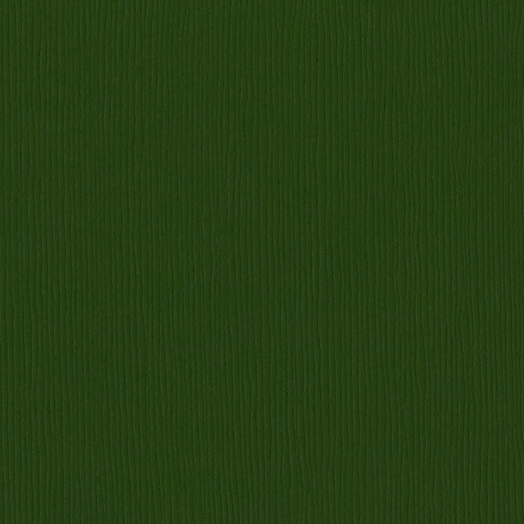 Cardstock 12in x 12in, Avocado
