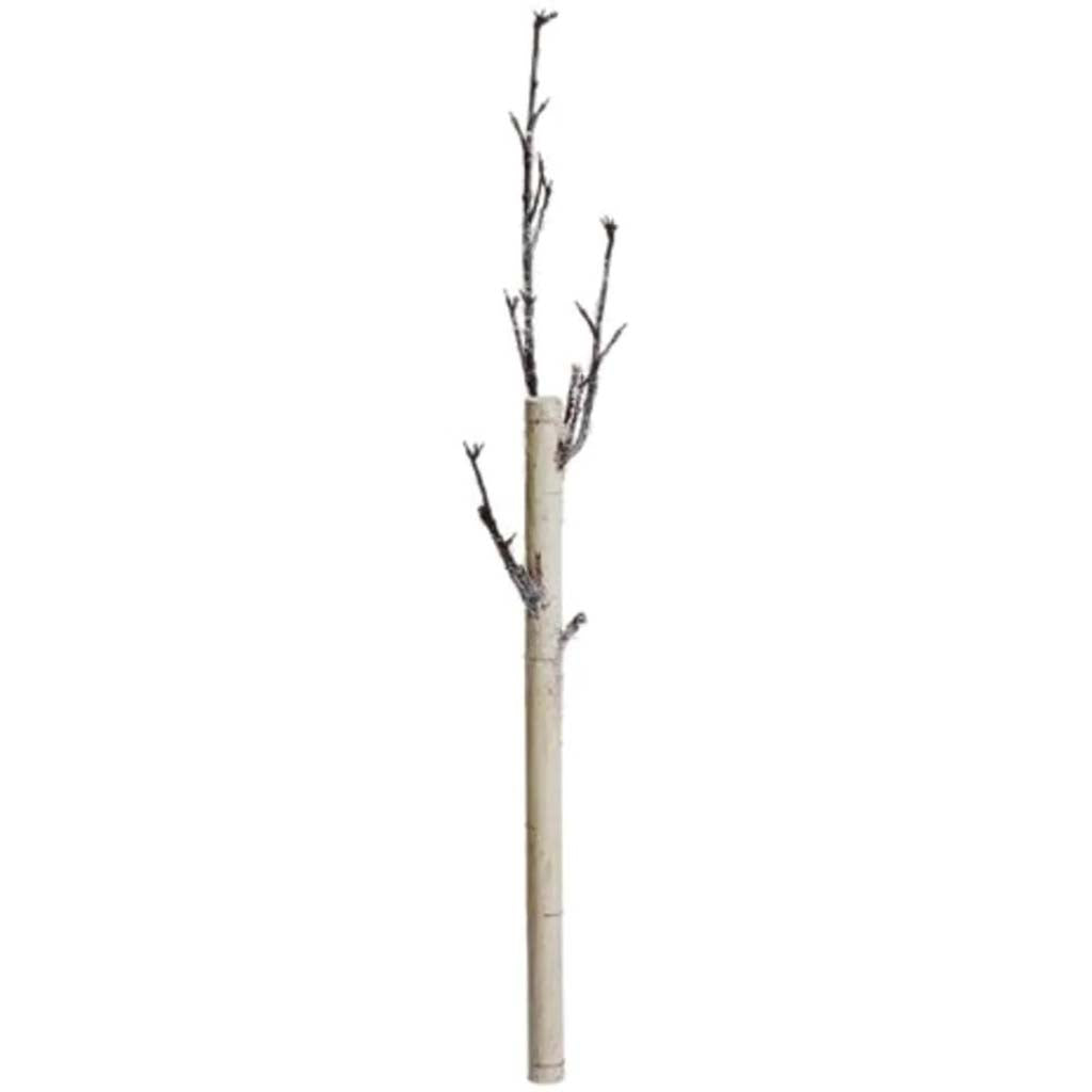 Faux Birch Branch 