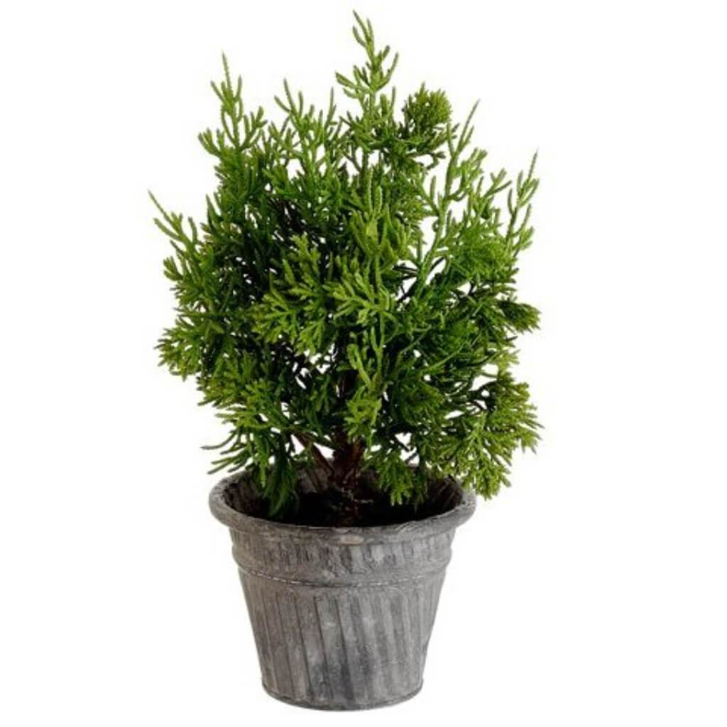 Juniper Tree In Tin Pot Green 12.5In 