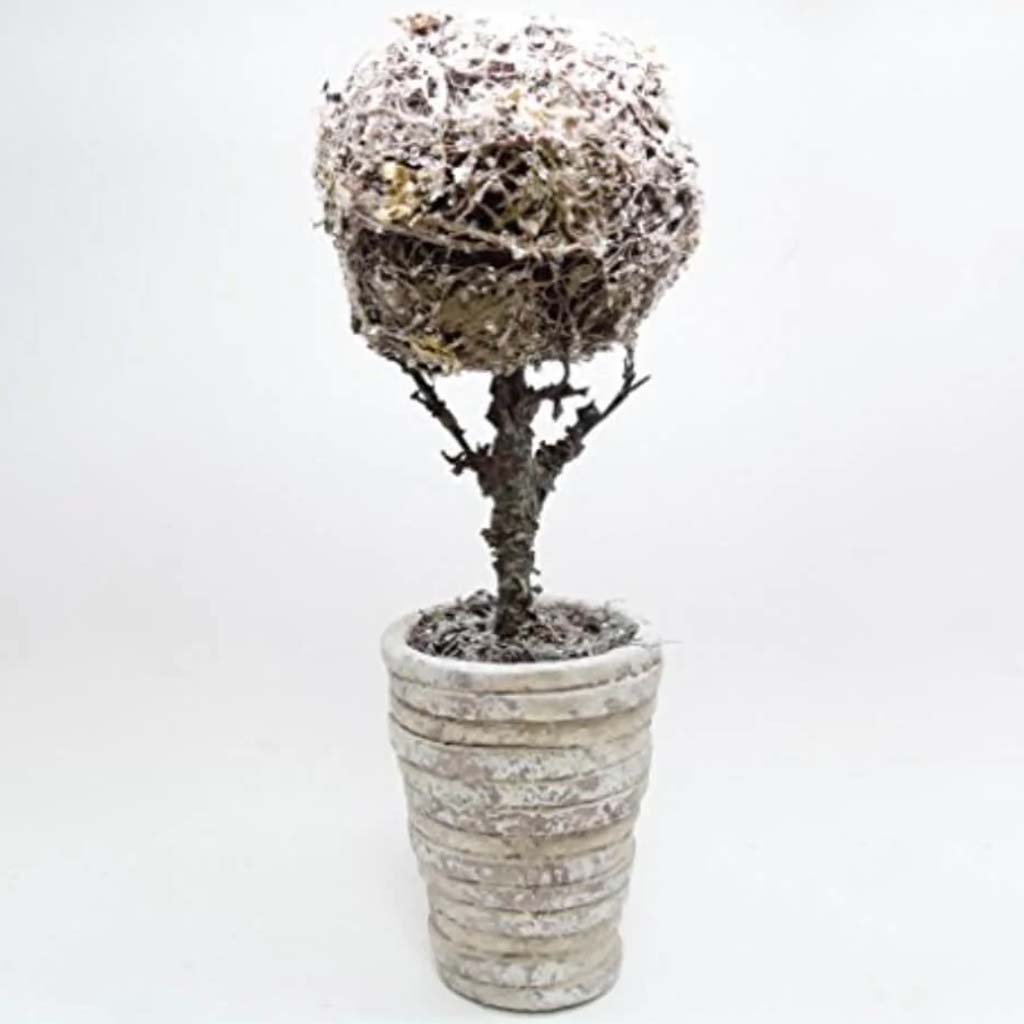 Twig Ball Topiary in Pot 