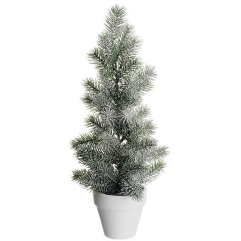 Iced Pine Tree in Pot 