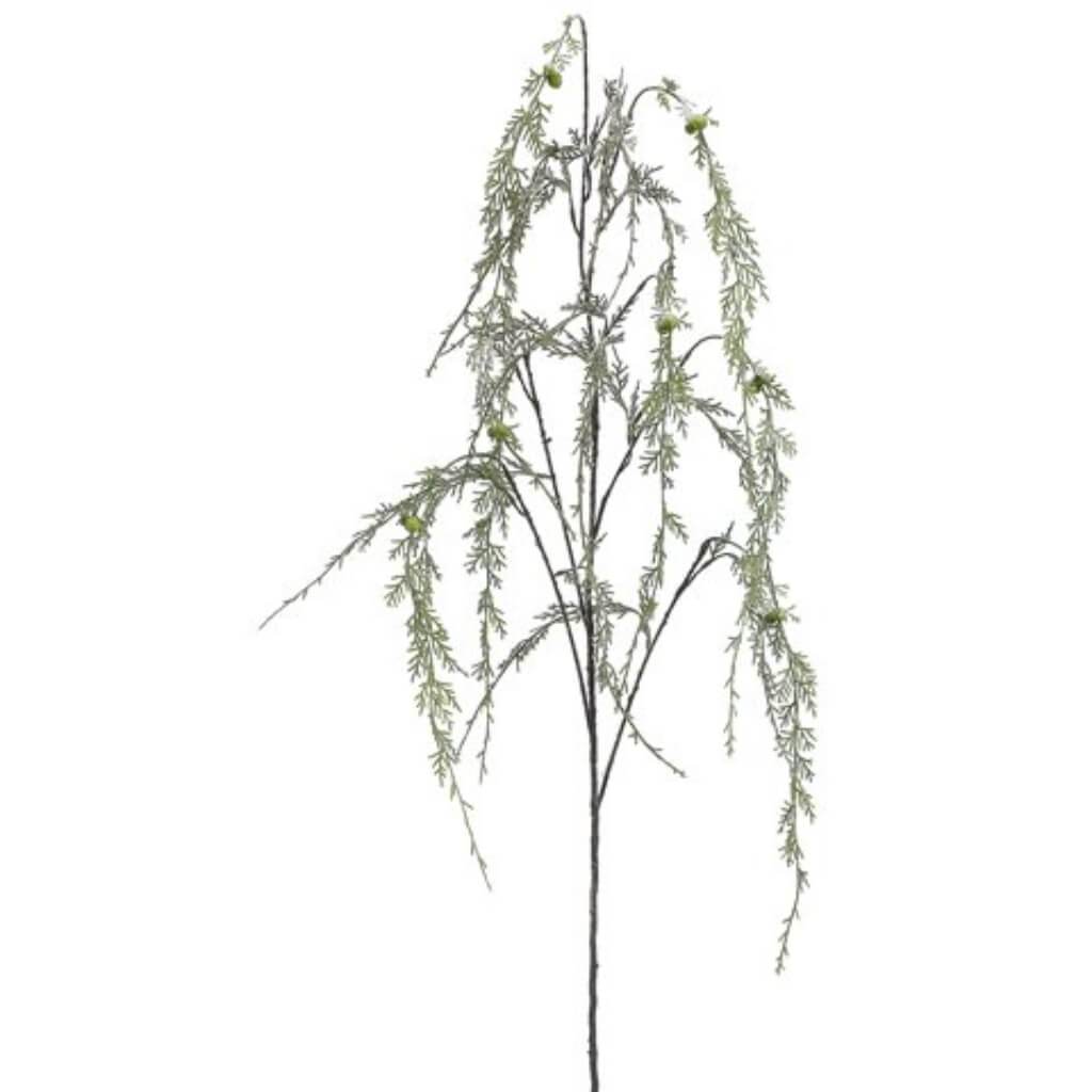 Snowy Hanging Cedar Branch 