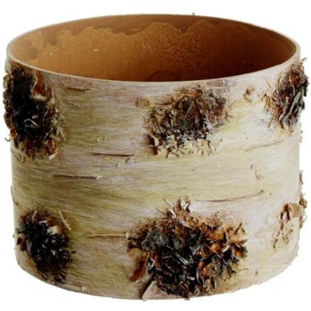 Faux Birch Container 