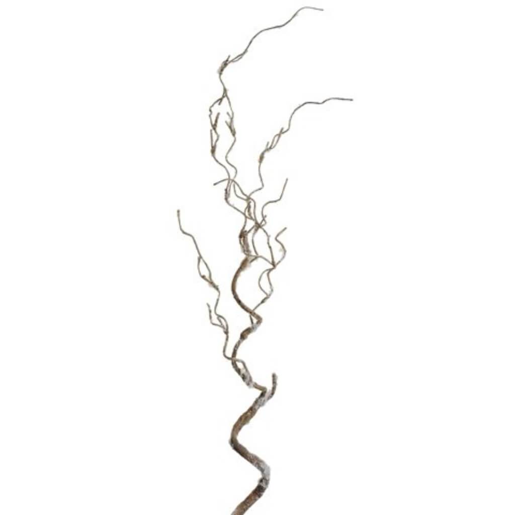 Curly Twig Branch 