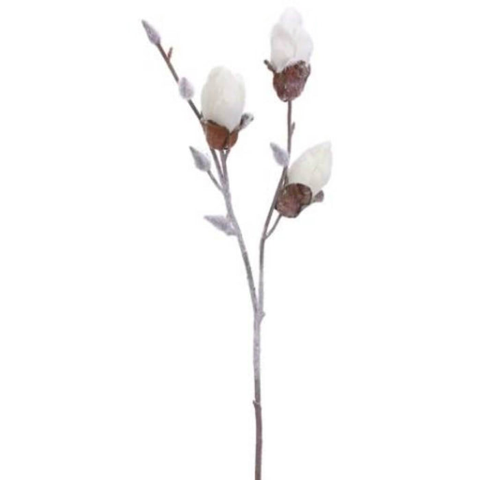 Snowed Magnolia Bud Spray 