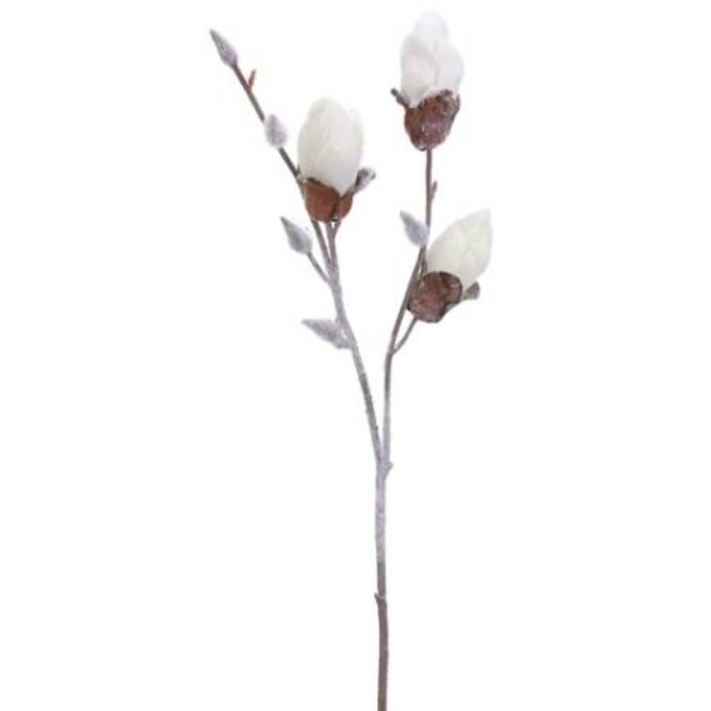 Snowed Magnolia Bud Spray 