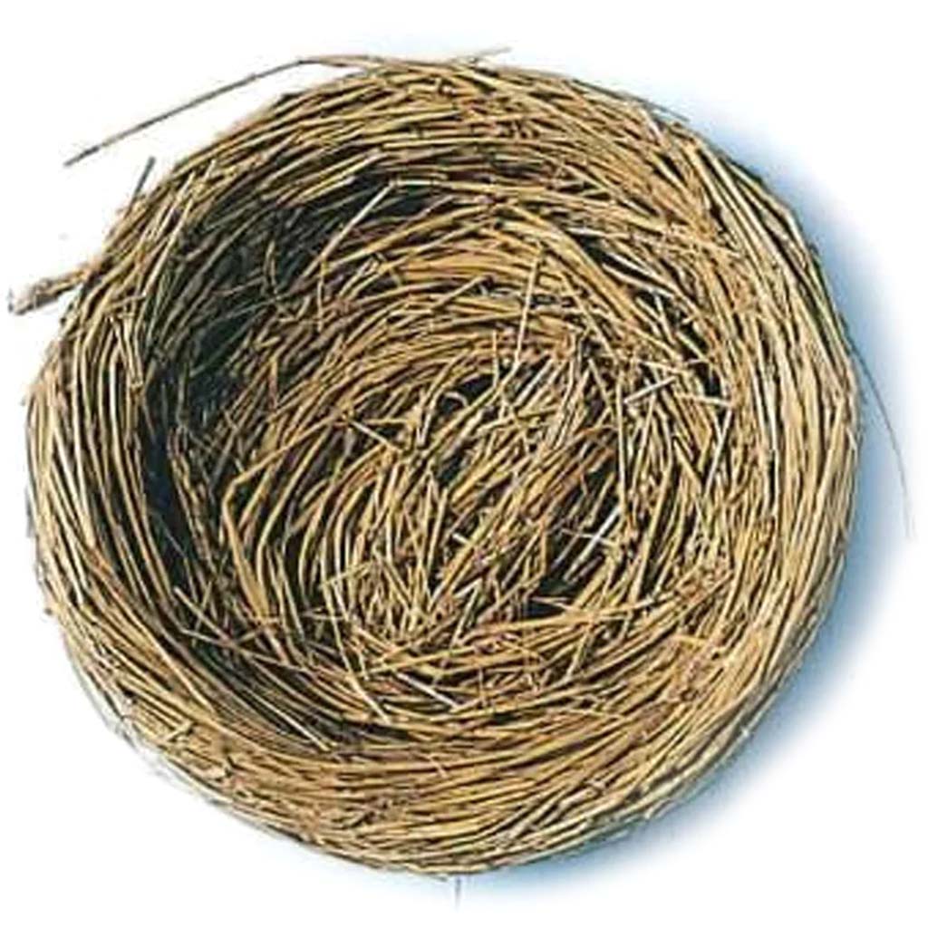 BIRD NEST 3IN 