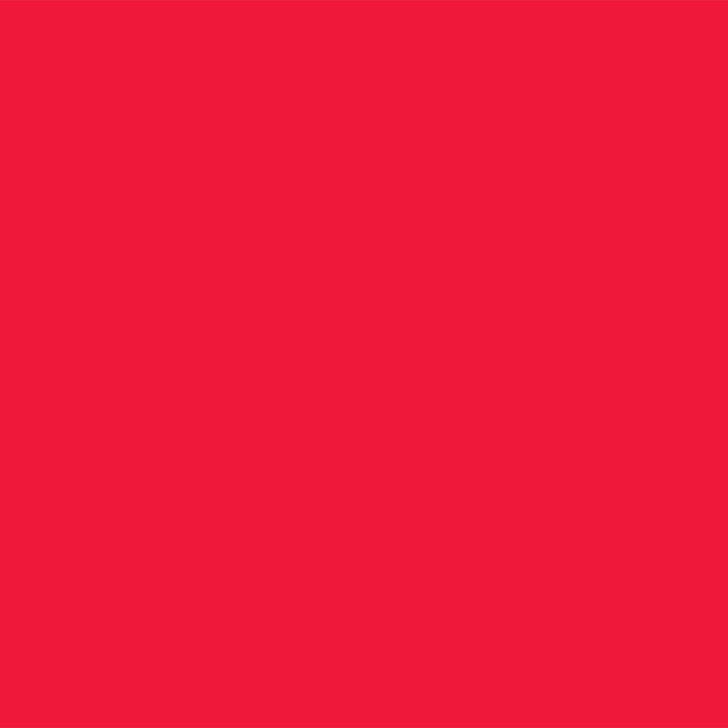 Foamies Foam Sheet Red 2mm thick 12 x 18 inches 