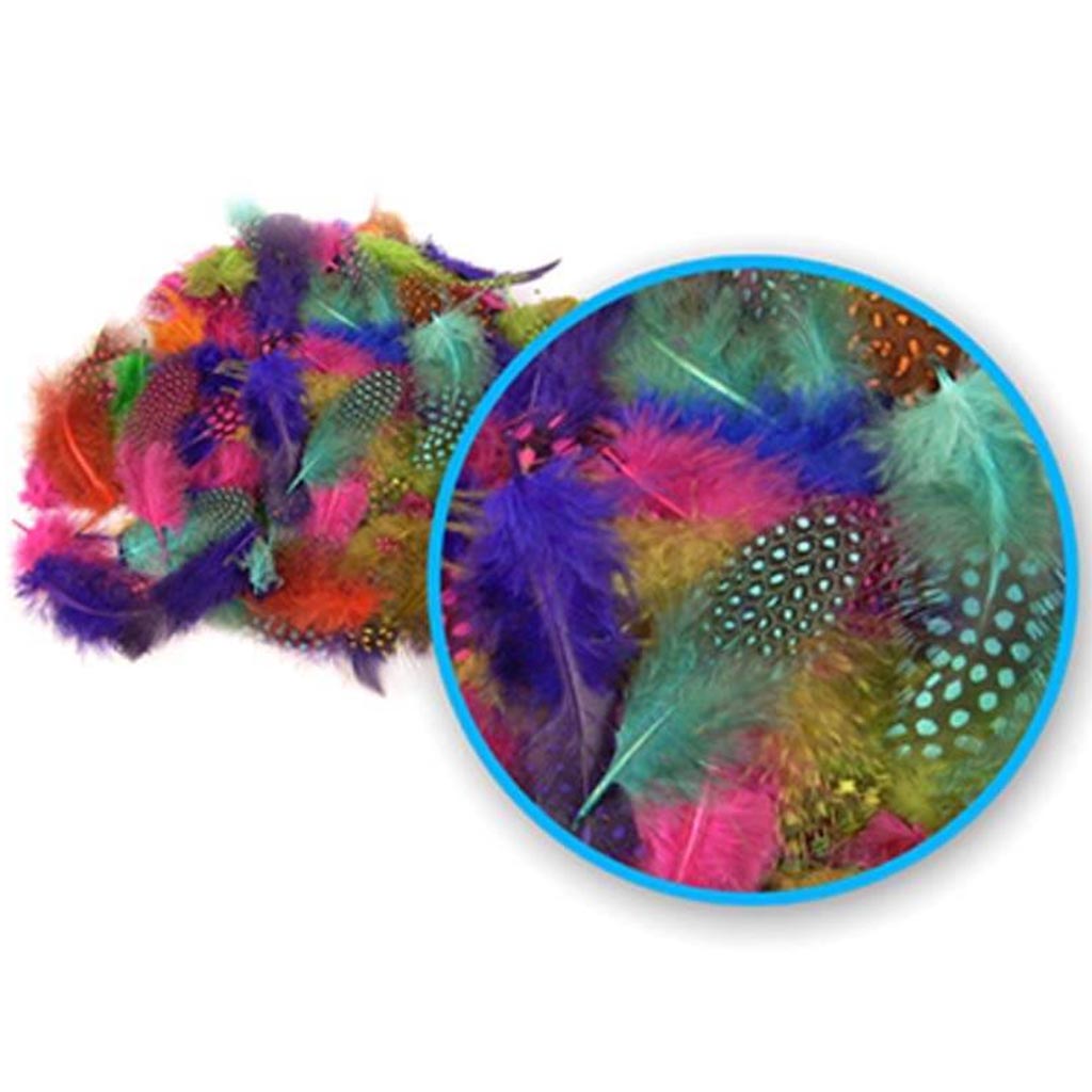 FASHION GUINEA FEATHERS 4G GRE EN/VIOLET/PINK/RED/ORANGE GRN/VIO/ 