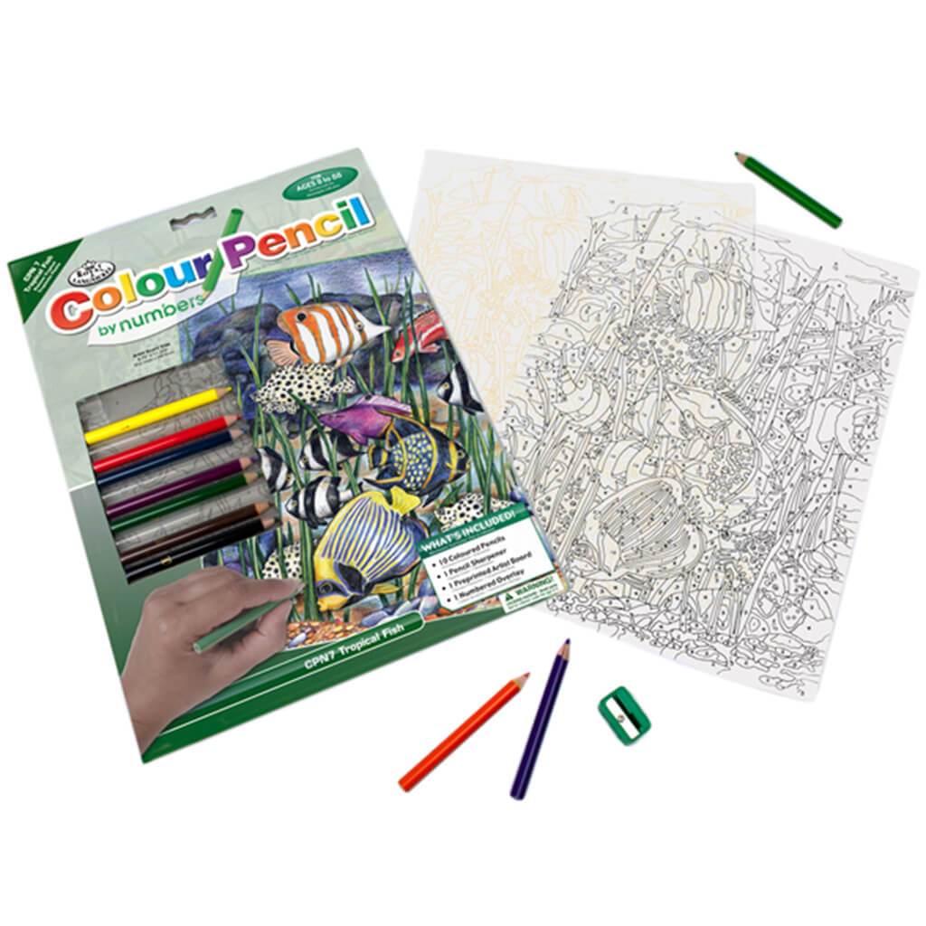 Color by Number Tropical Fish 9 x 12