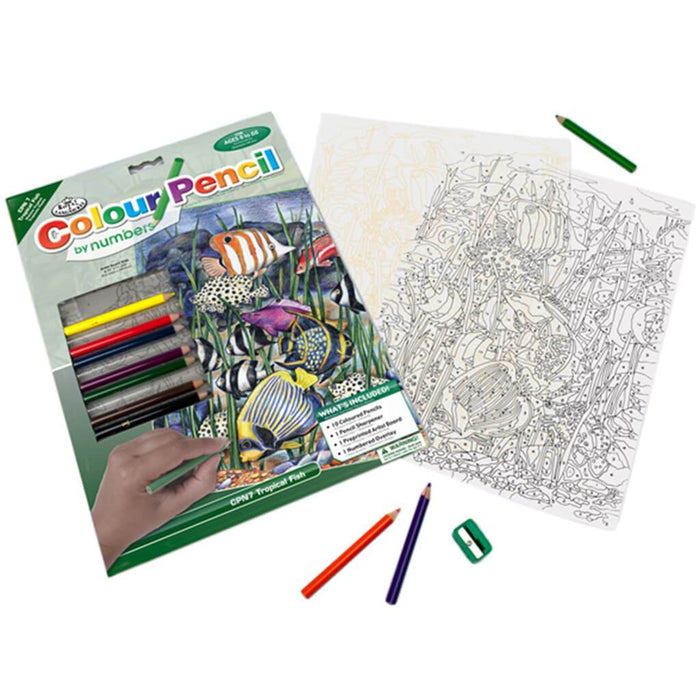 Color by Number Tropical Fish 9 x 12