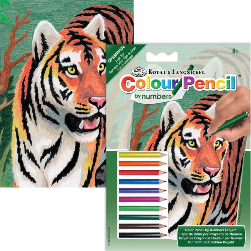 JUNGLE TIGER MINI COLOR PENCIL BY NUMBER 