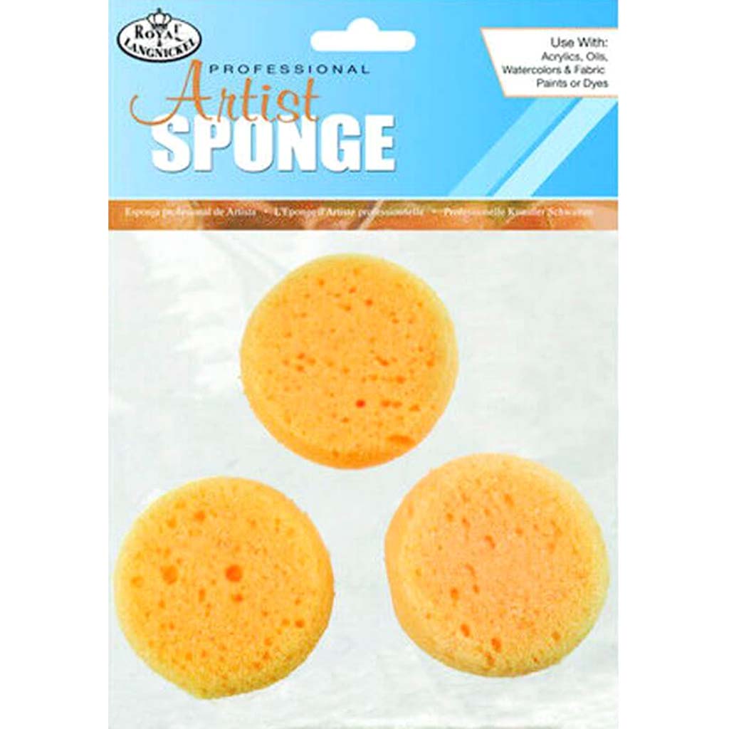 Synthetic Sponge Set 3pcs