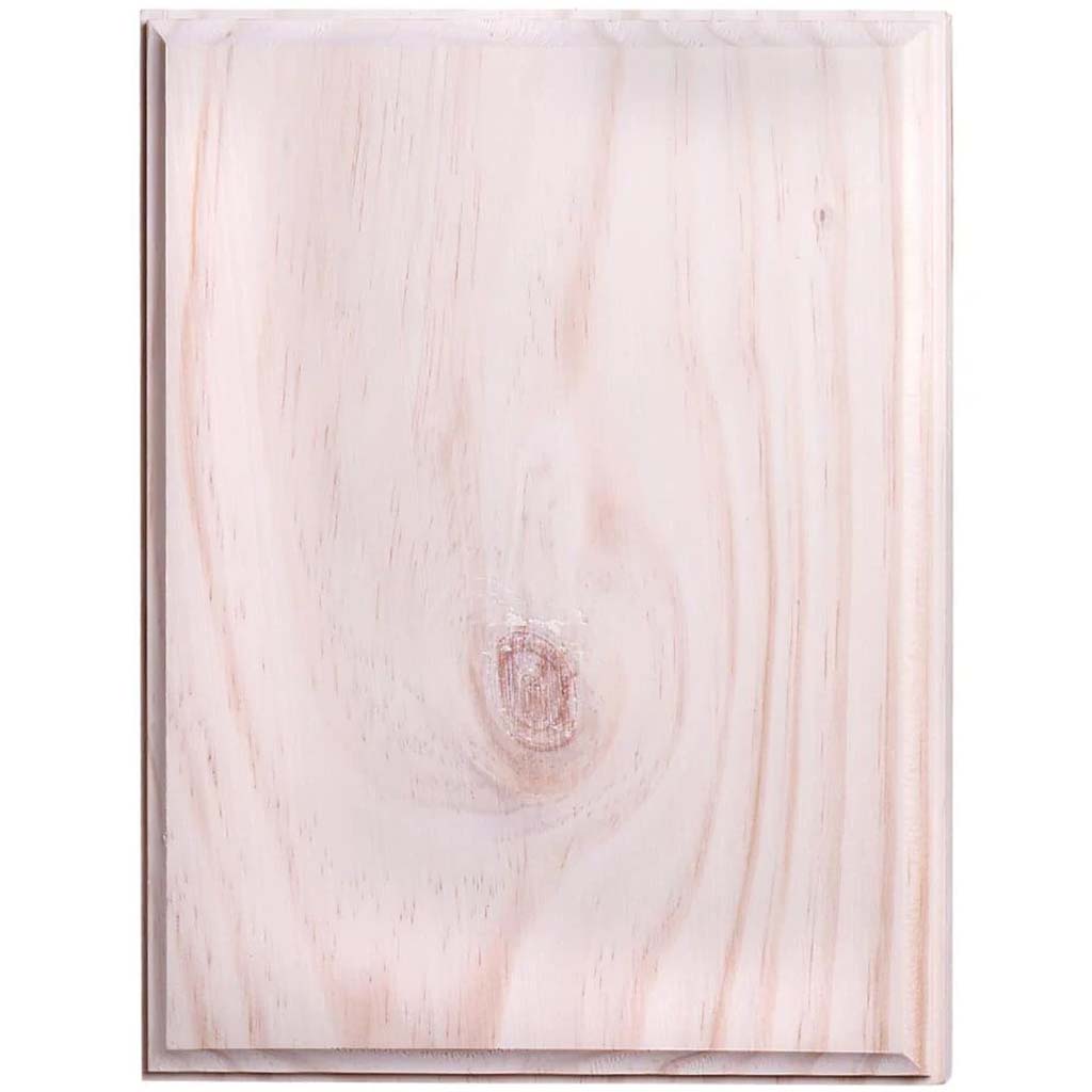 PLAQUE RECTANGULAR 7X9IN 