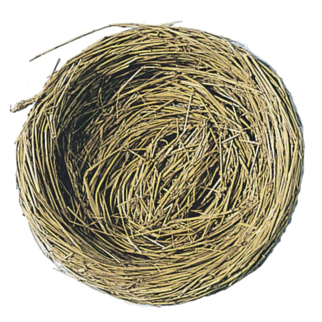 BIRD NEST W/WIRE 5IN 