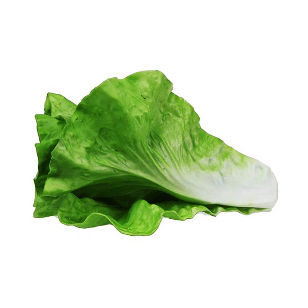 Lettuce, Green 