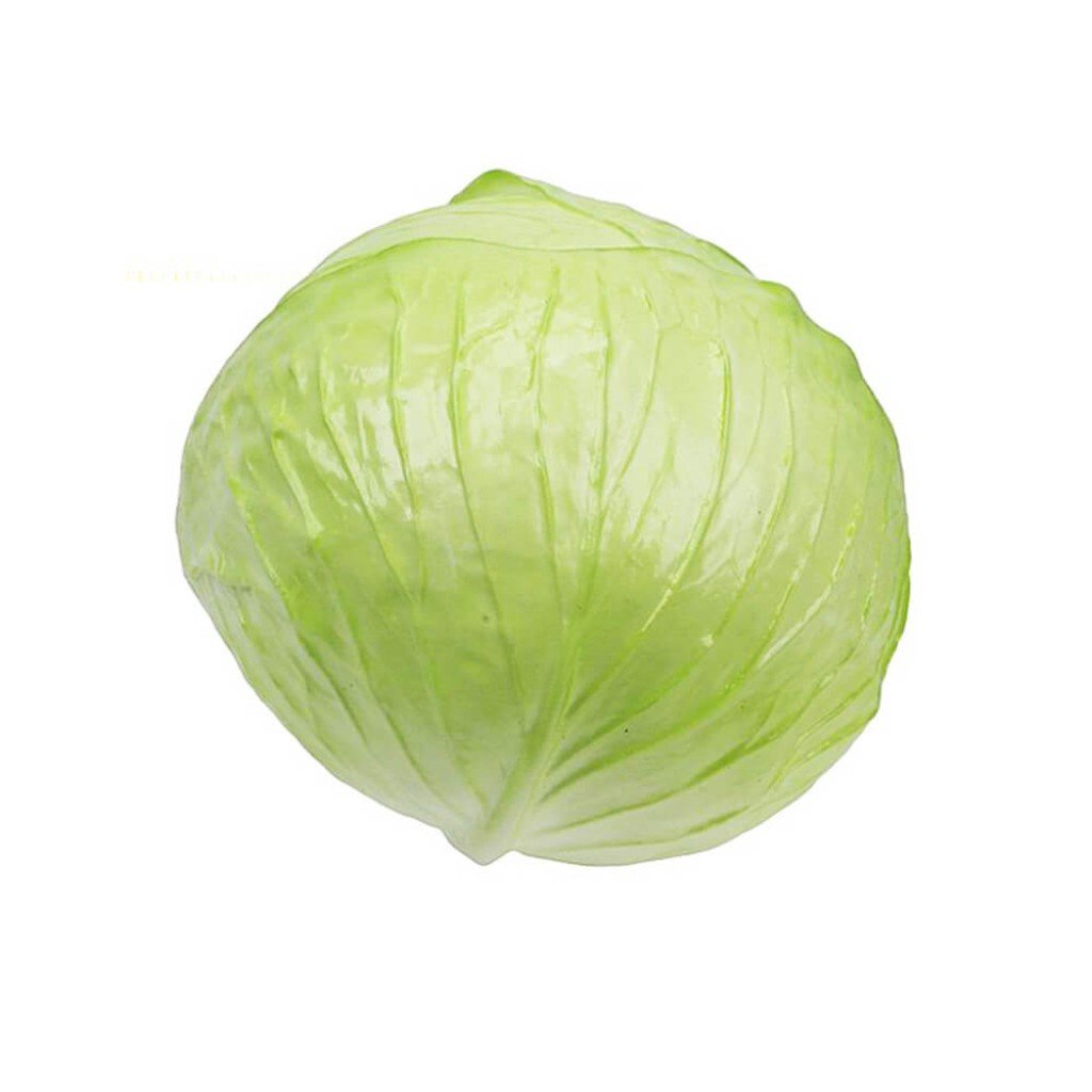 Cabbage, Green 
