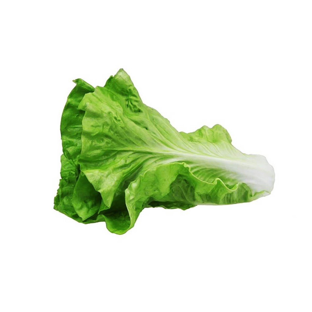 Lettuce, Green 