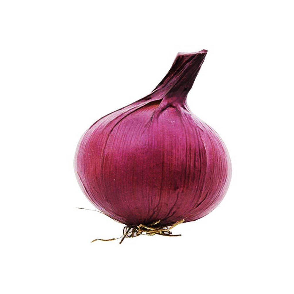 Onion, Mauve 