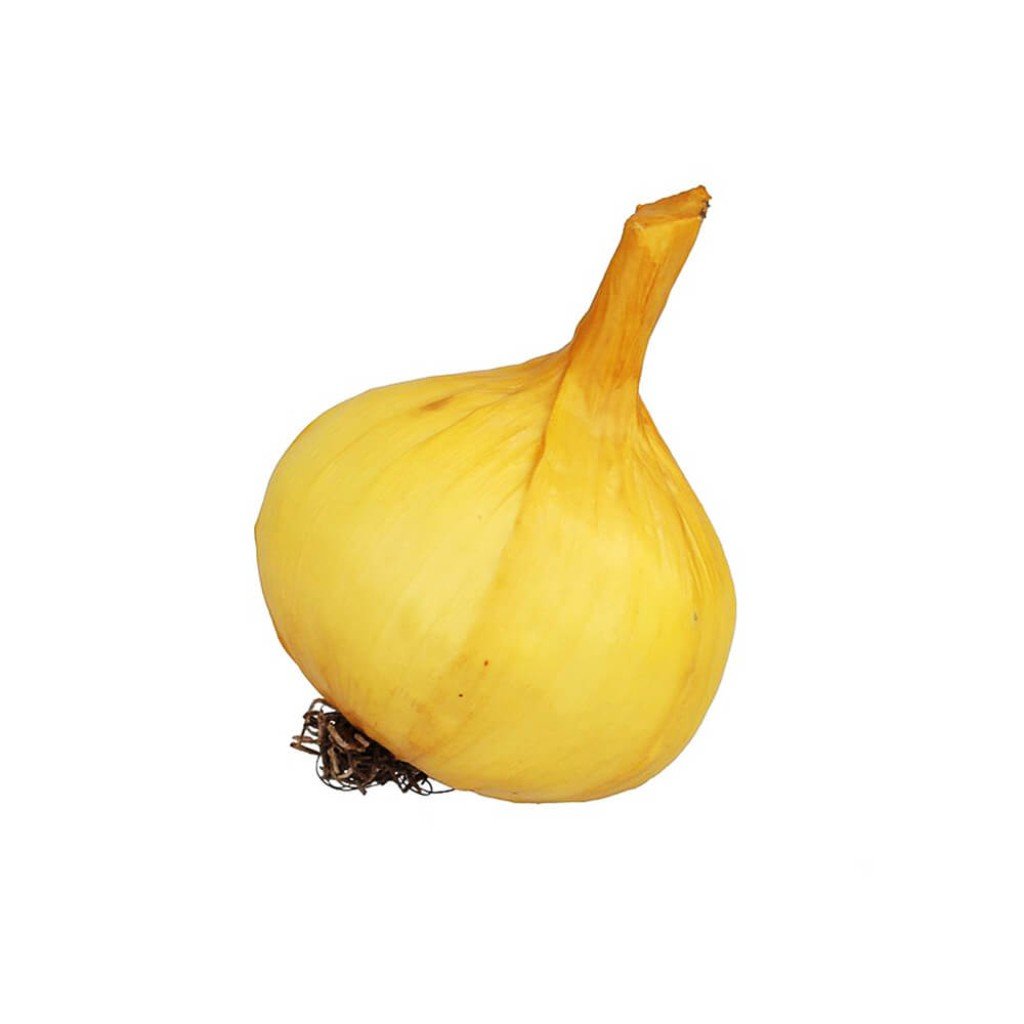 Onion, Natural 