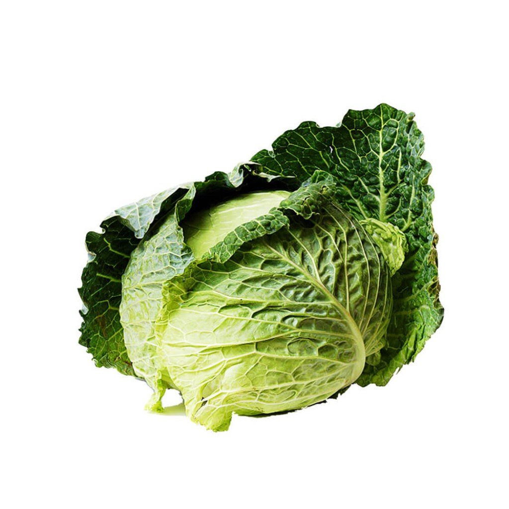 Cabbage, Green 