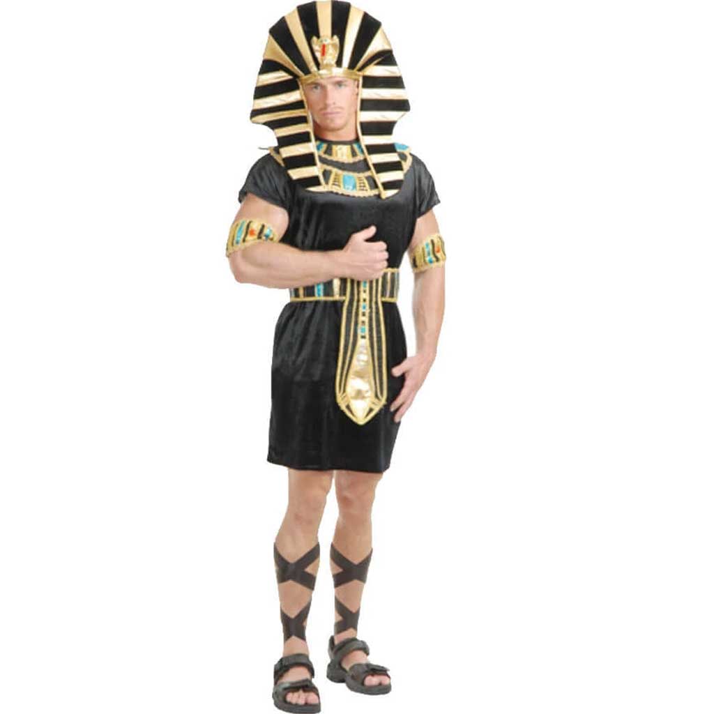 King Tut Set Royal Gold Teen Standard Costume