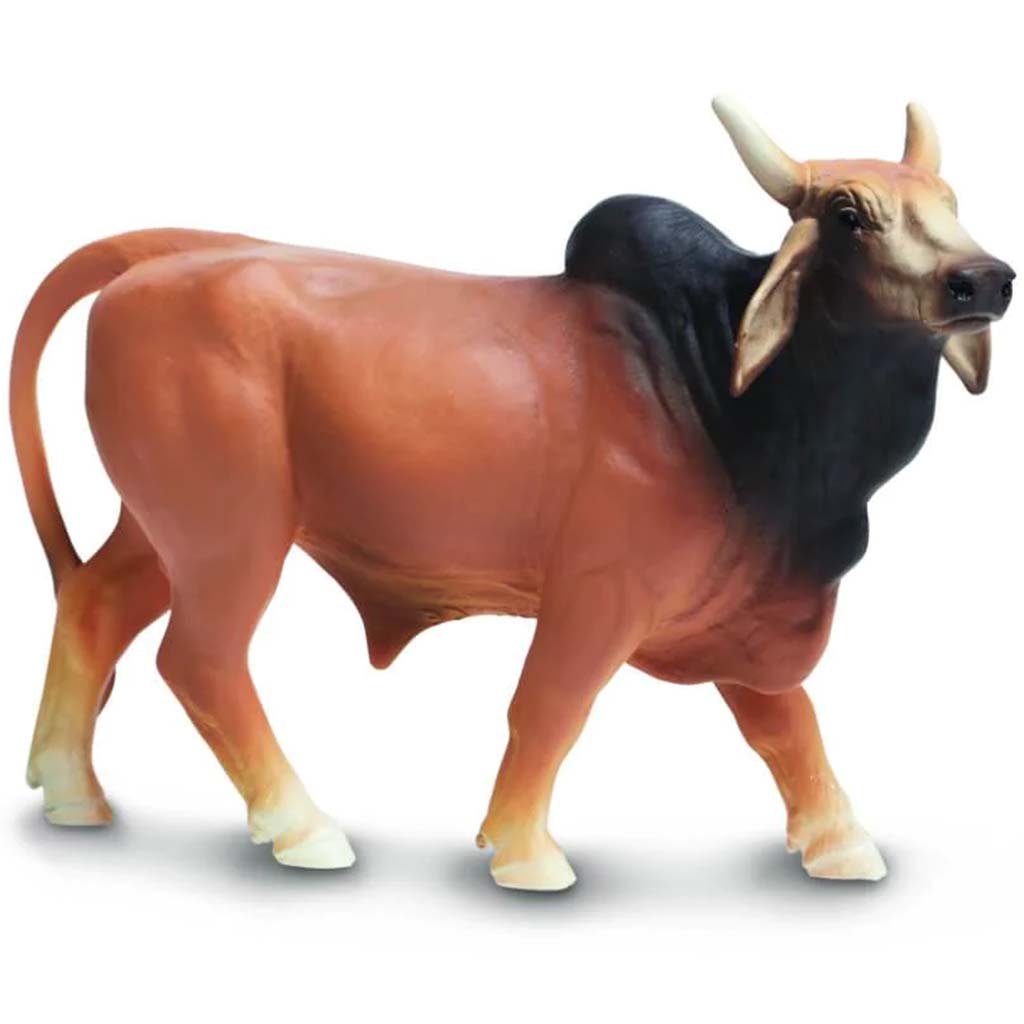 Bramah Bull 