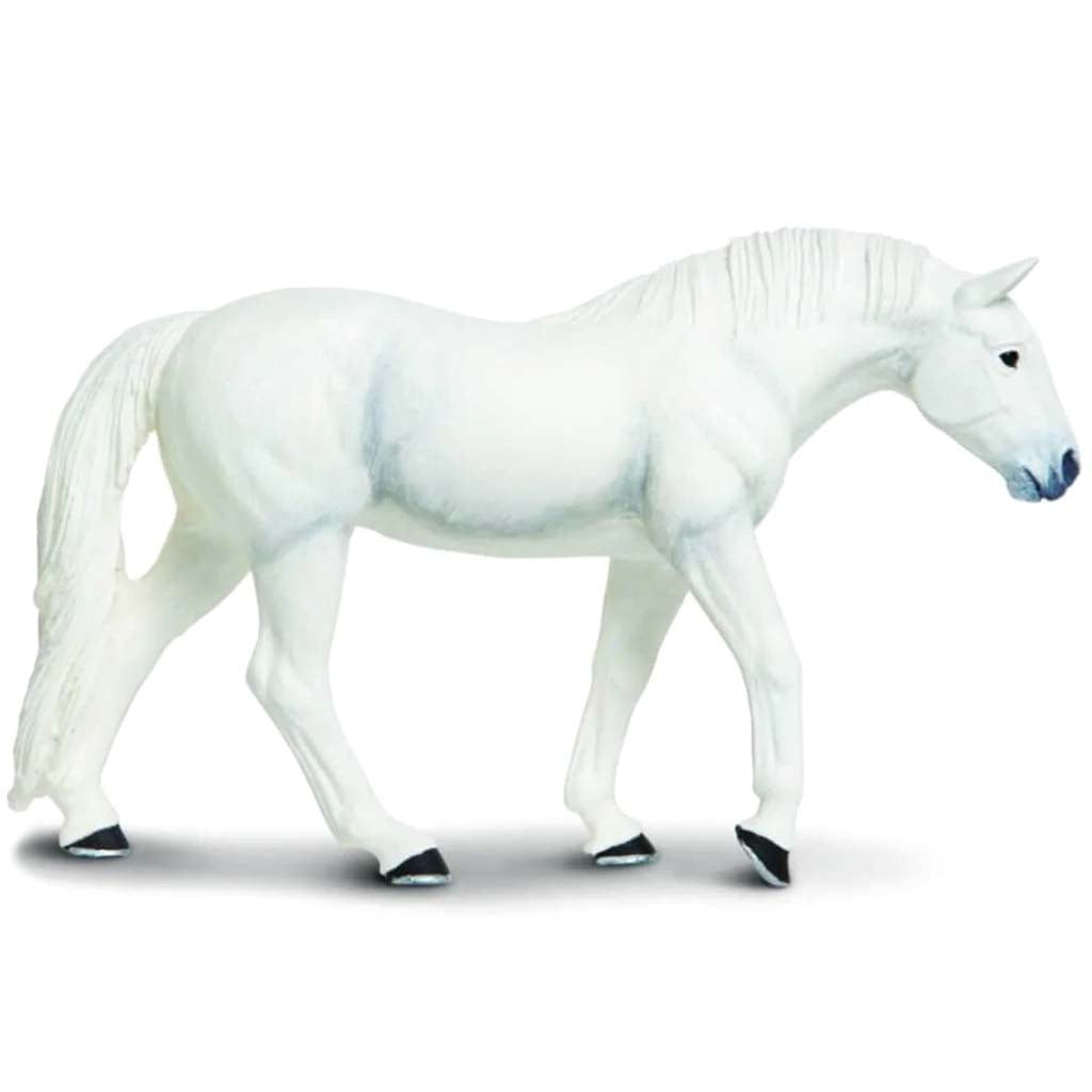 Lipizzaner Stallion 