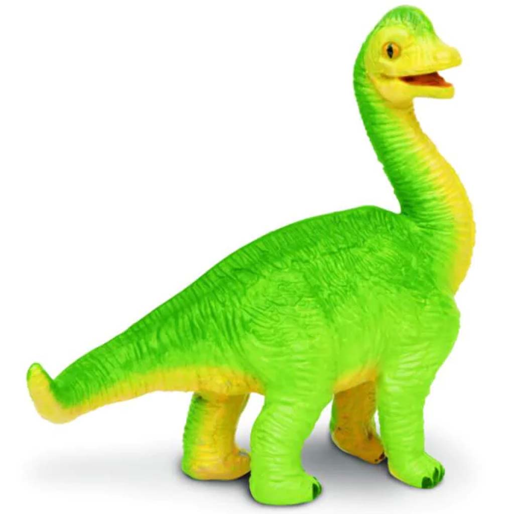 Brachiosaurus Baby 