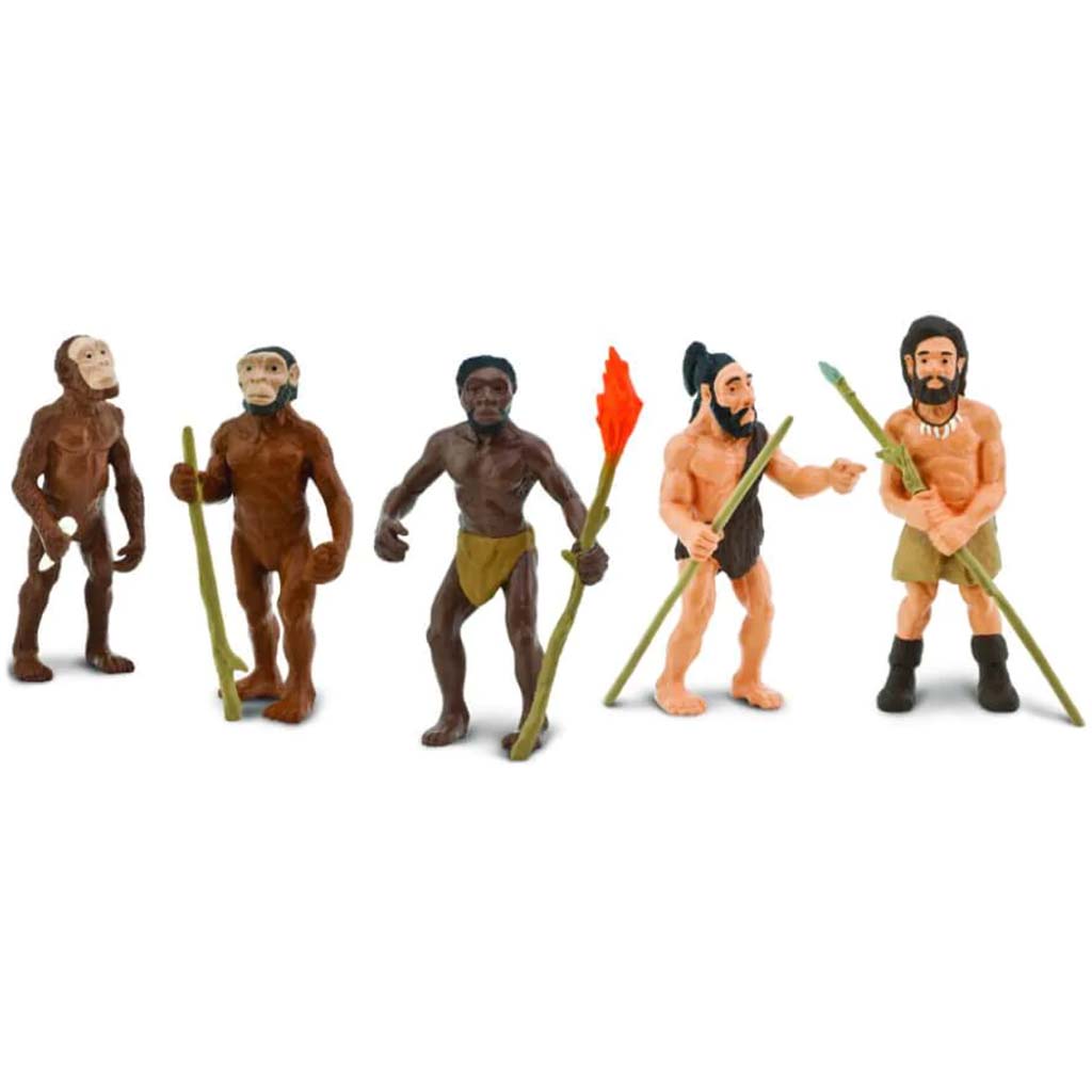 Evolution Of Man 